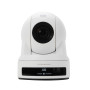 PTZ-камера CleverCam 5420U3HS POE (4k, 20x, USB 3.0, HDMI, SDI, POE, Tracking)